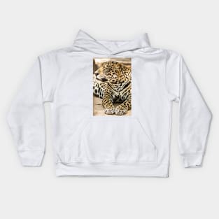 cbs big cat Kids Hoodie